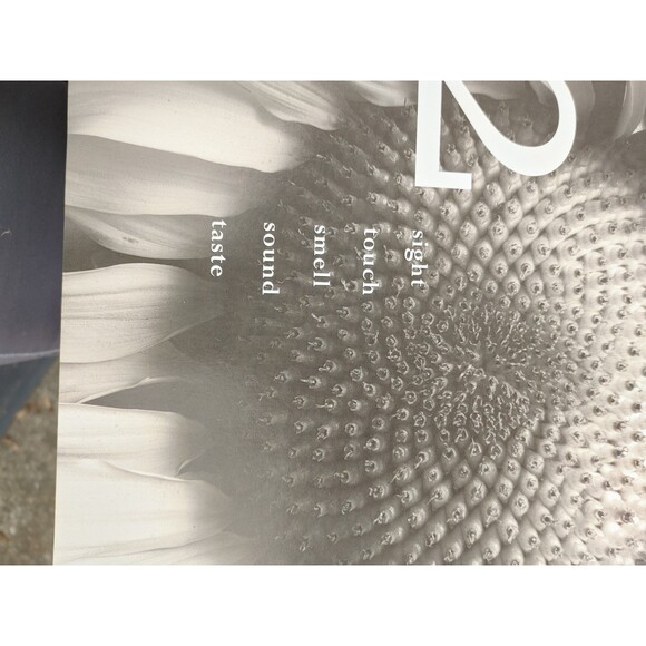 1ST EDIT The Garden Design Book HARDCOVER Cheryl Mercer etal VGC No Dust Jacket - Picture 12 of 16